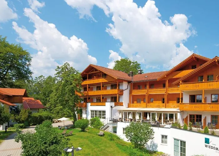 Wiedemann 3*